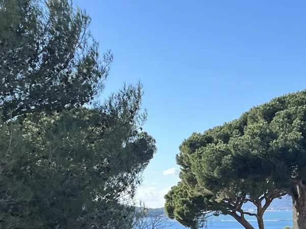 Propose appartement en colocation