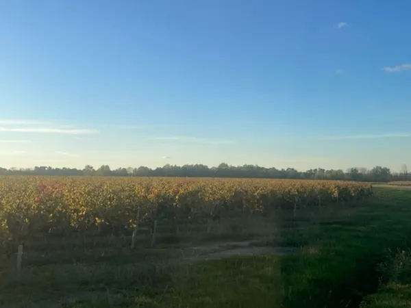 Terrain 150000 m²