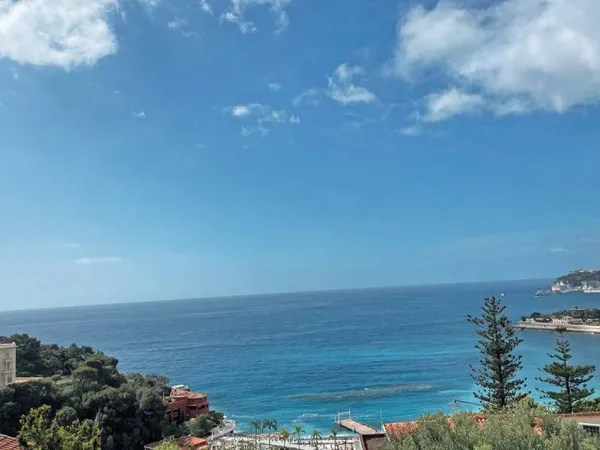 LA VIGIE - FRONTIÈRE MONACO PROJET VILLA PRESTIGE
