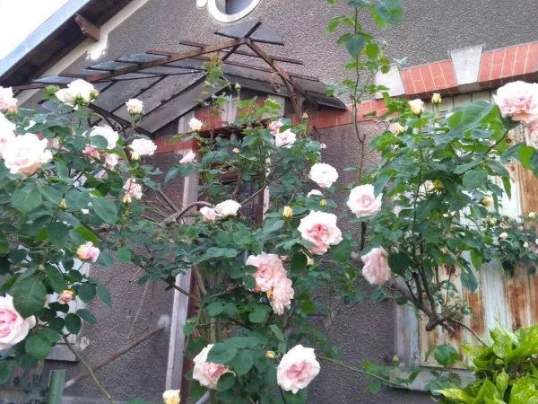 Maison 3 pièces 90 m²