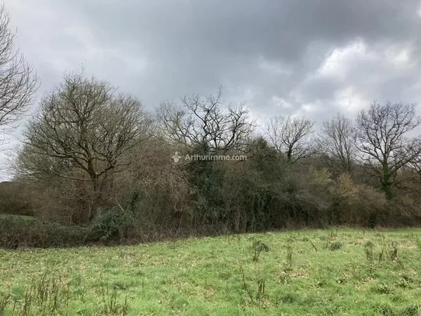 A VENDRE - PRE EN PAIL - TERRAIN BOISE - 12000 M²