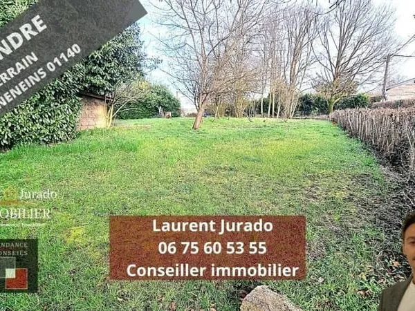 Terrain 655 m²
