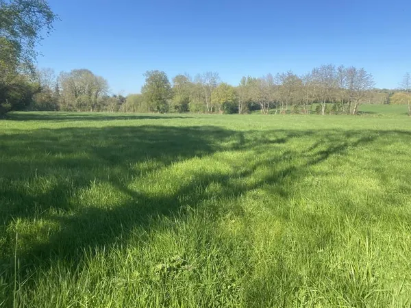 Terrain à viabiliser.
