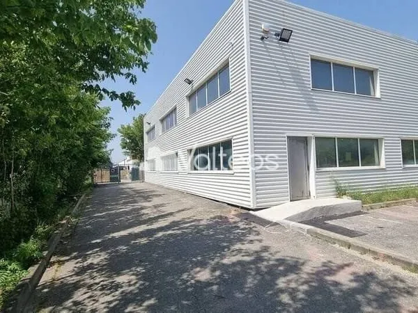 Local d'activité 290 m²