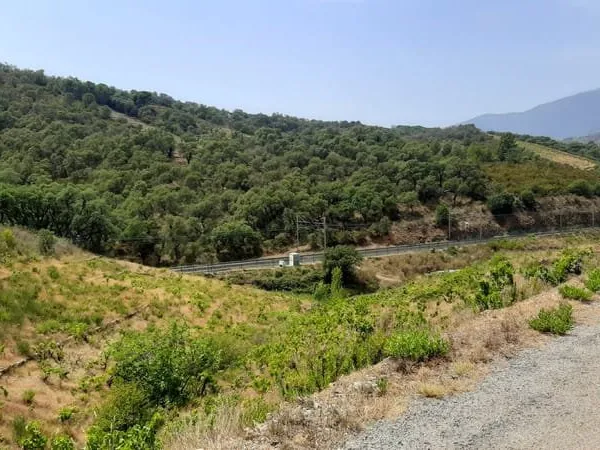 Parcelles de vignes Banyuls sur Mer