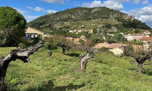 TERRAIN A ANDANCE