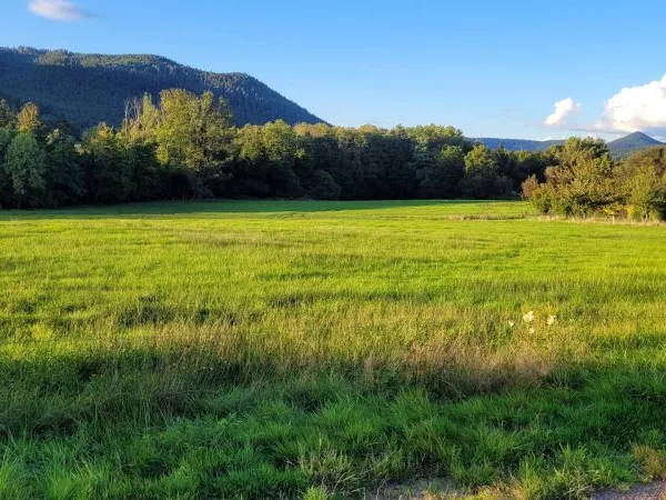 SAINT DIE DES VOSGES - TERRAIN CONSTRUCTIBLE