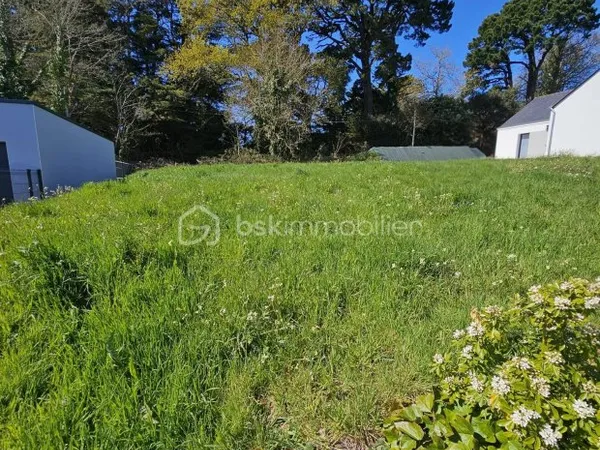 Terrain 533 m²