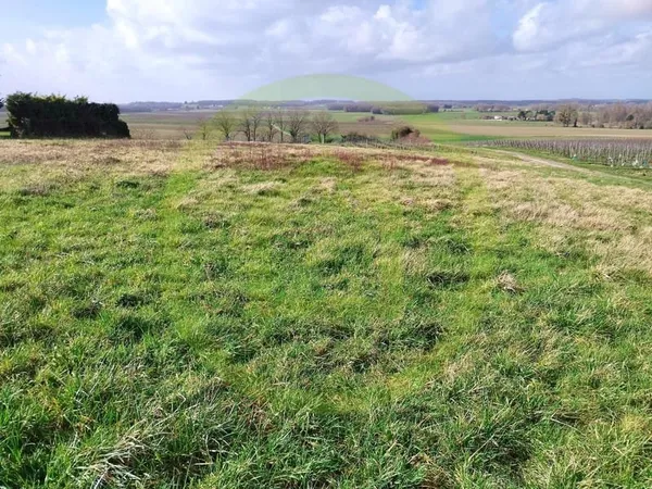 Terrain à bâtir Vente Saint-Maigrin  2500m² 27000€