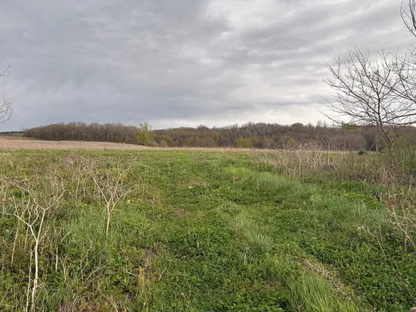 TERRAIN 3000 M² Villaudric 31
