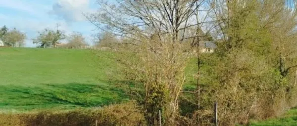 Terrain 3787 m²