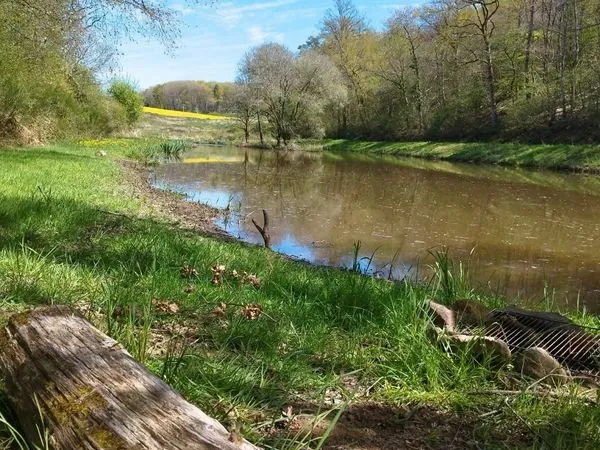 Étang avec terrain et bois