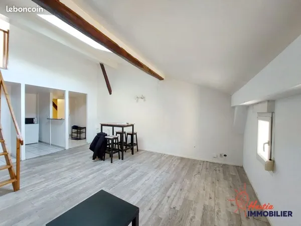 Duplex 1 pièce 49 m²