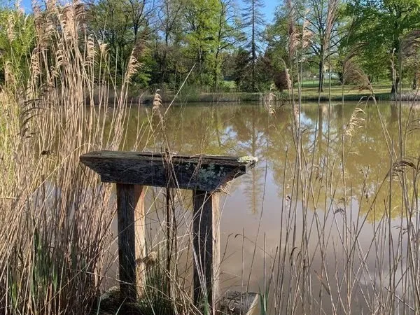 Terrain 11458 m² Mézières-en-Brenne