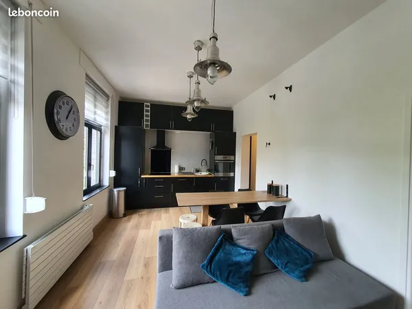 Appartement meuble T2 disponible début Juin
