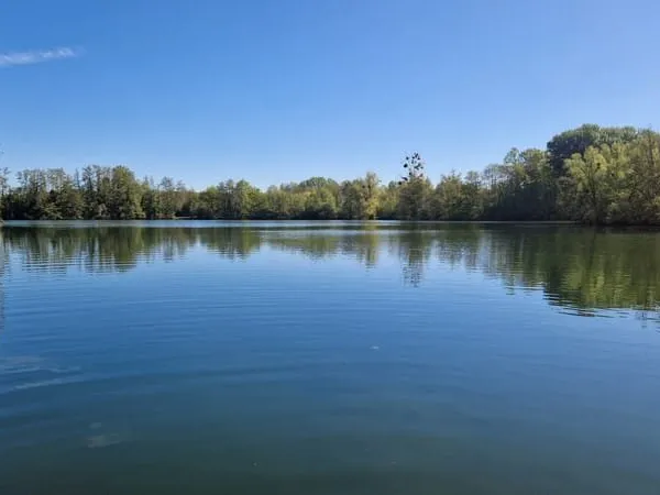 MAINTENON 5 minutes Bel étang sur une parcelle de plus de 10ha