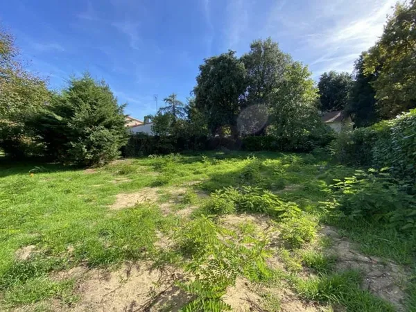 Terrain constructible
