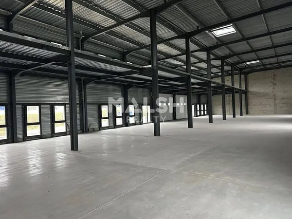 Local d'activité 972 m²