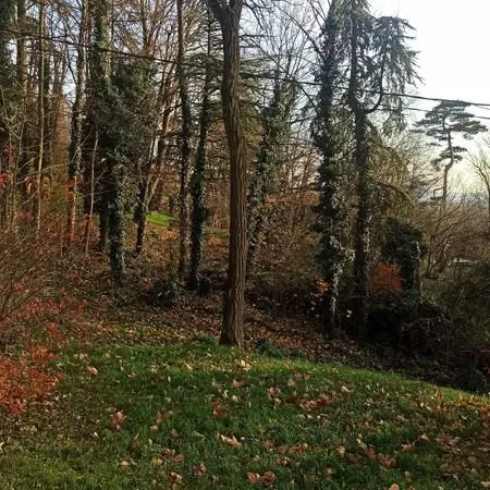 Bel Appartement Lumineux Boisé Belle Vue