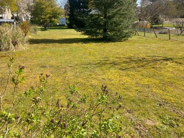 Terrain constructible