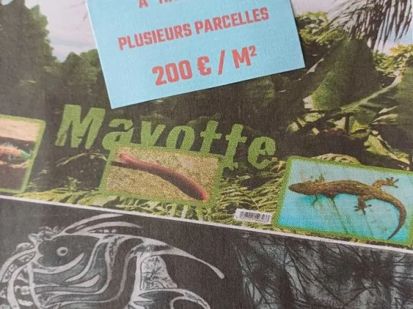 TERRAINS A MAYOTTE DEMBENI HAJANGOUA 200€/m²