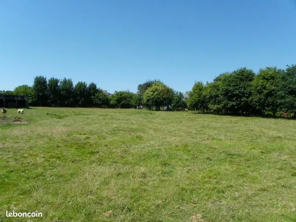 Terrain agricole