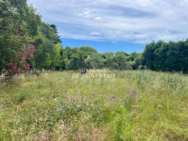 Vente maison de ville 8 Pièce(s)