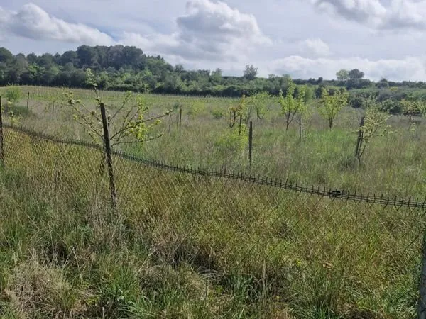 À vendre Terrain de loisirs 14000