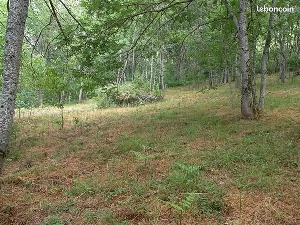 Terrain de loisirs Haute-Ariège