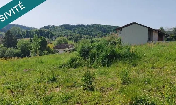 Terrain constructible