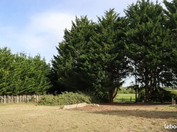 Terrain constructible - 998 m² - Fougères-sur-Bièvre (41120)