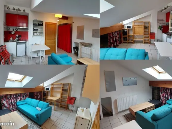 Studio meublé rénové et entièrement équipé disponible dès maintenant - Hypercentre de Grenoble (rue 