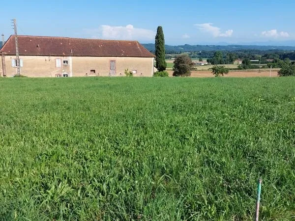Terrain à bâtir