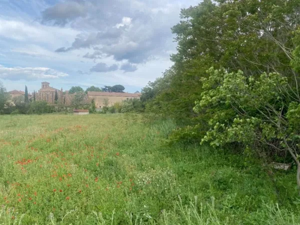 Terrain 1145 m²