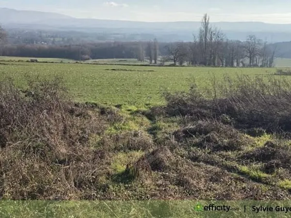Terrain 2032 m²