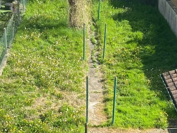 Jardin à louer