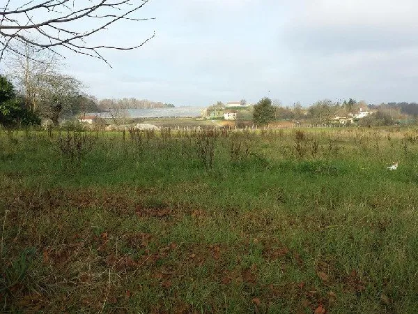 Terrain en individuel 1559 m²