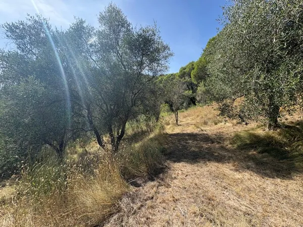 Terrain en individuel 20000 m²