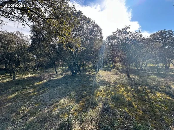 Terrain 2020 m² Saint-Restitut