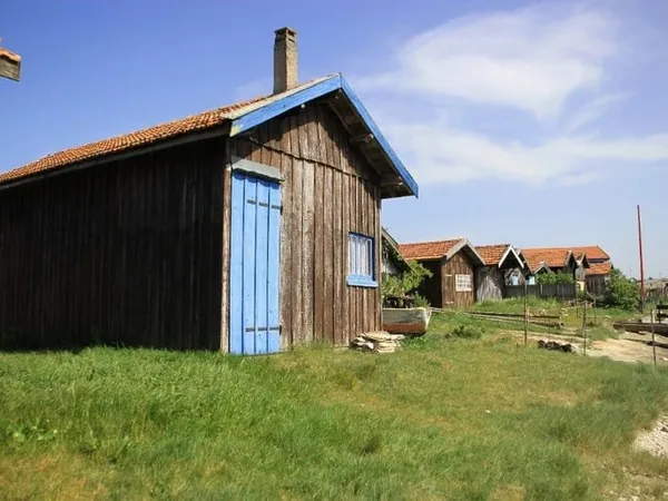 Terrain 800 m²