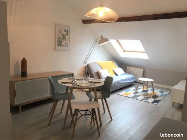 Appartement meublé F2 - Vue dégagée - Parc de Blossac - Poitiers Centre