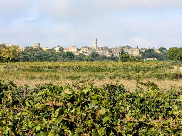 3753m2 de vigne...