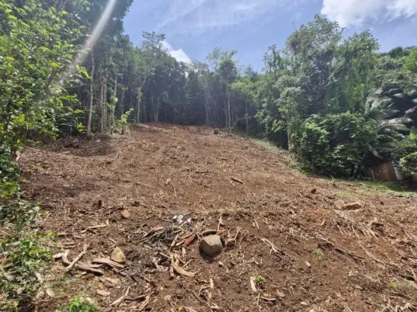Grand terrain de 1301m2 pour votre projet en accord avec la nature