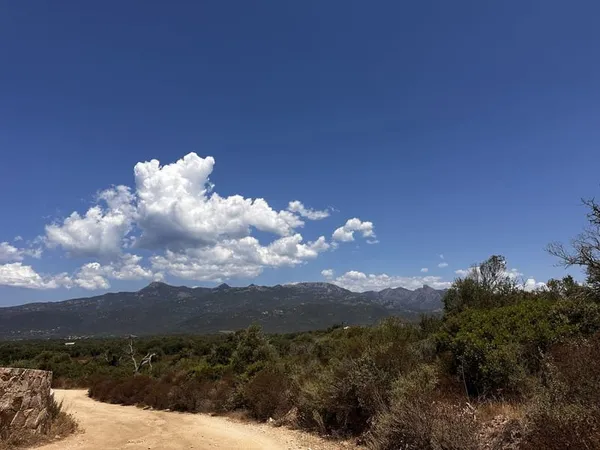 À vendre Terrain avec vue montagne à Figari