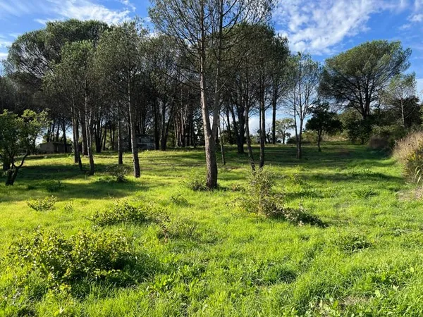 Terrain viabilisé 1410 m²