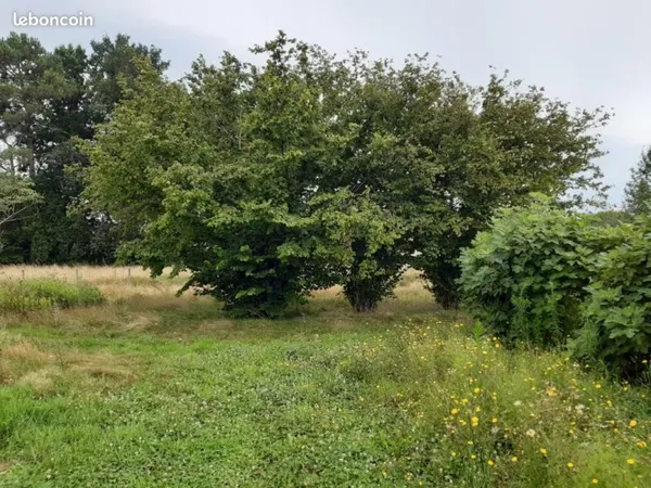 Terrain 530 m² Le Taillan Medoc