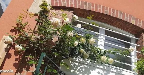 Duplex avec terrasse
