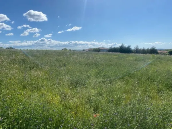 Terrain 400 m²