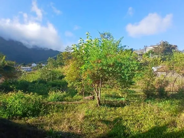 Terrain 500 m²