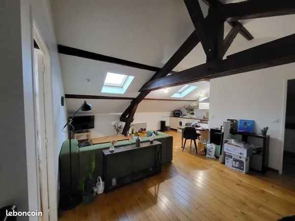 T3 cosy 49m² - grandes chambres + salon spacieux - parfait couple ou colocation